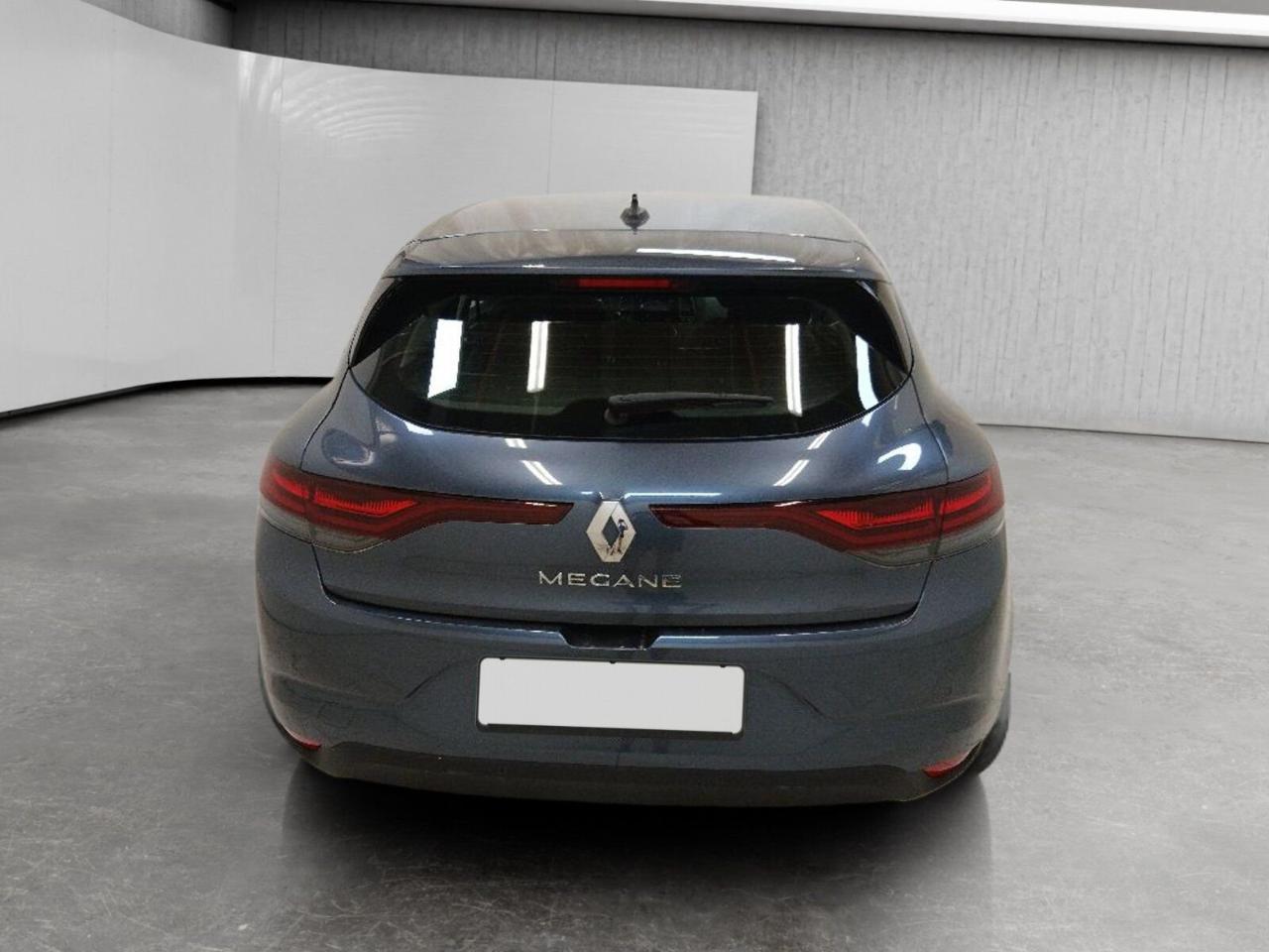 Renault Renault Megane usata 10