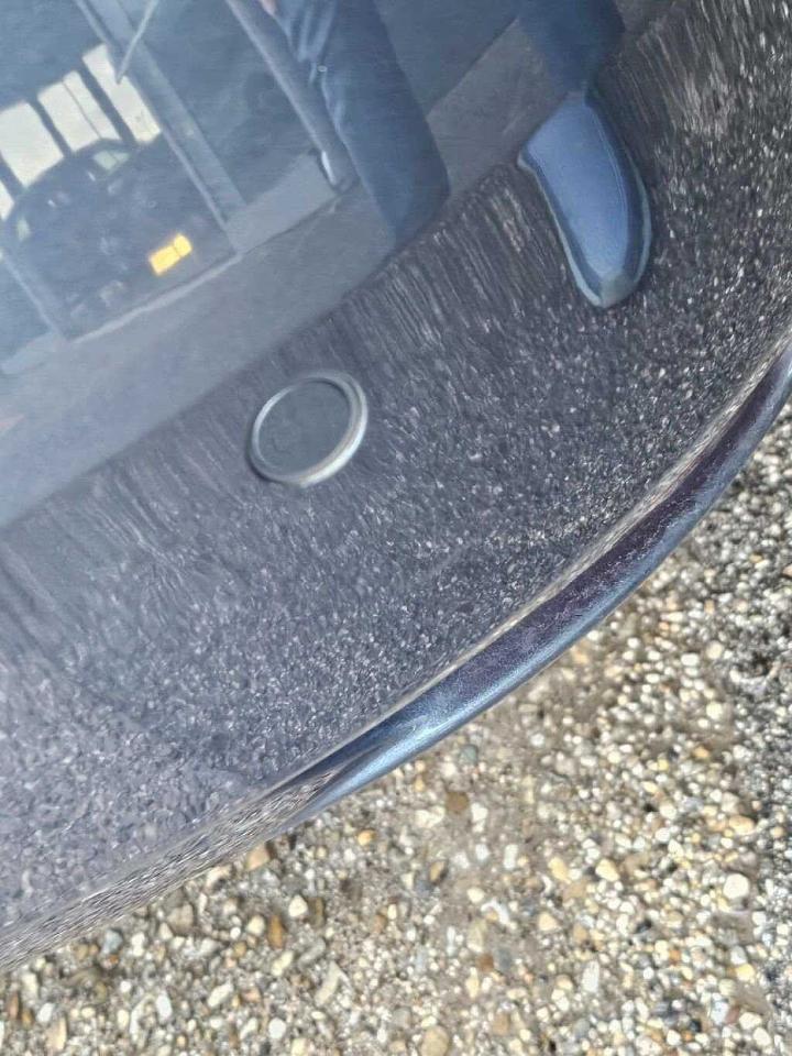 Renault Renault Megane usata 12