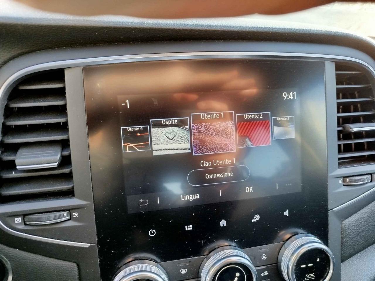 Renault Renault Megane usata 9