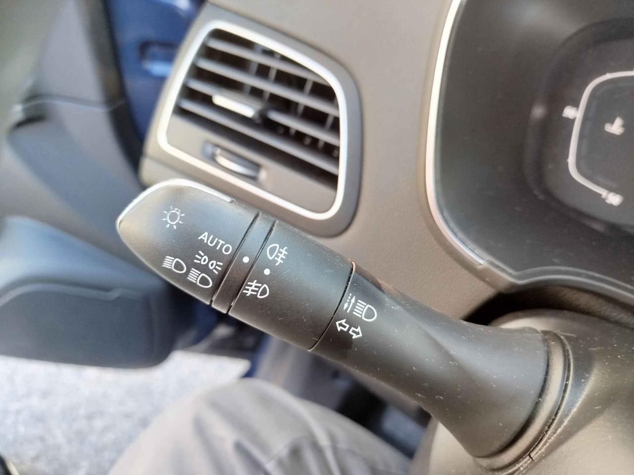 Renault Renault Megane usata 14