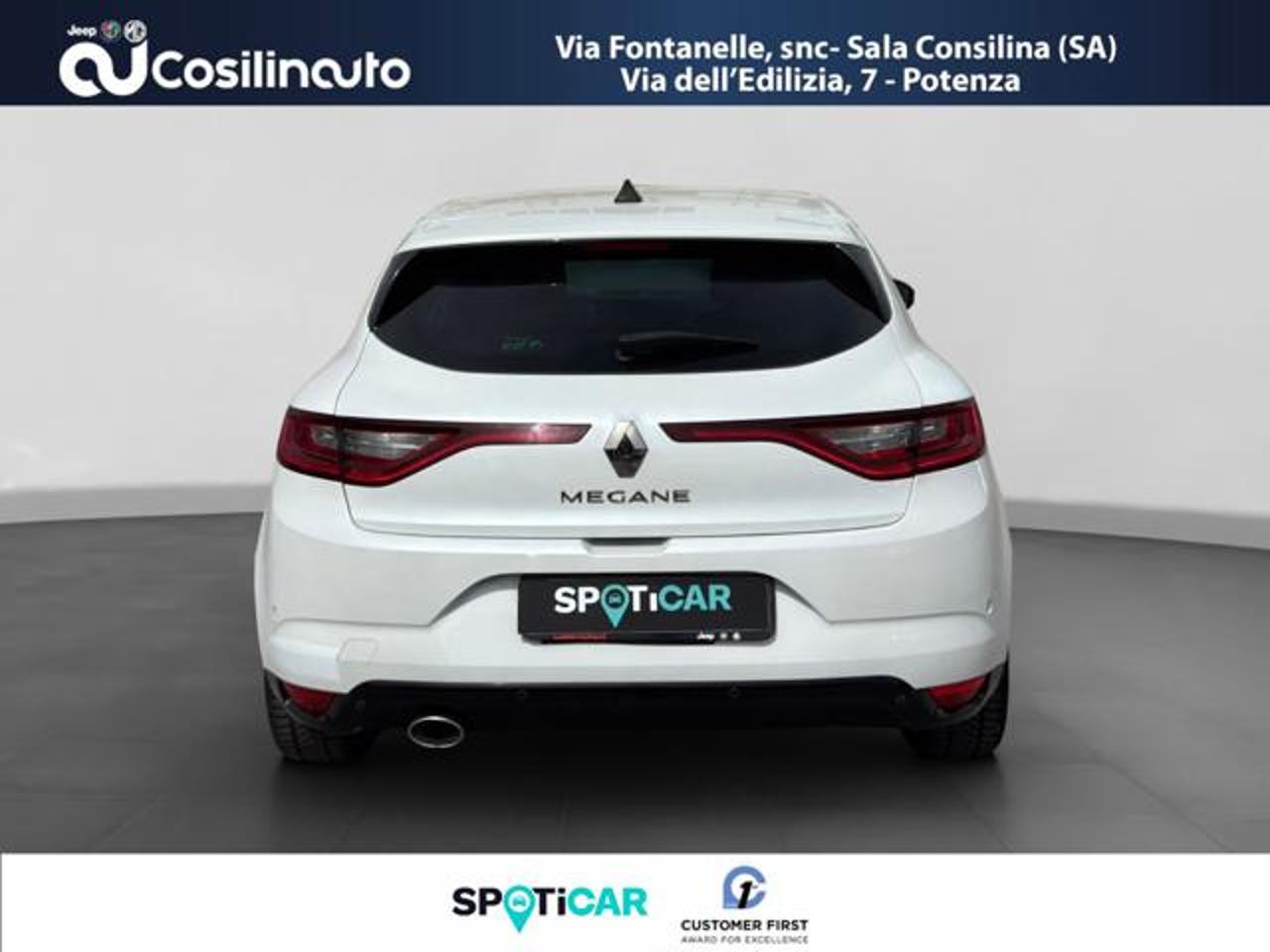 Renault Renault Megane usata 14