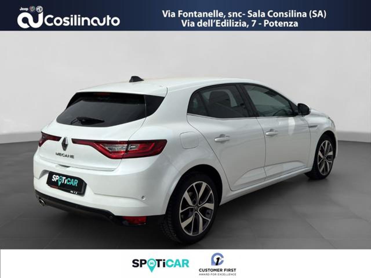Renault Renault Megane usata 15