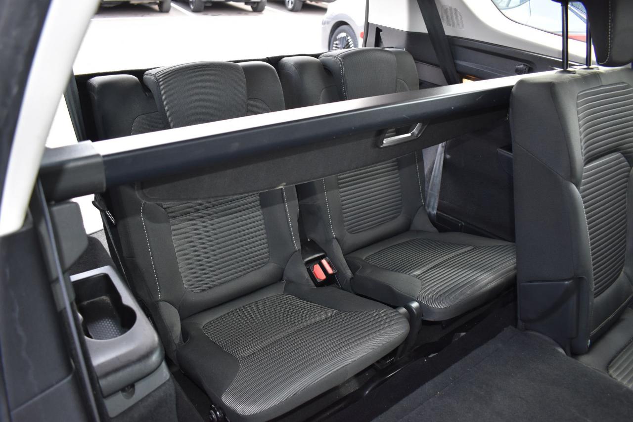 Renault Renault Scenic usata 14
