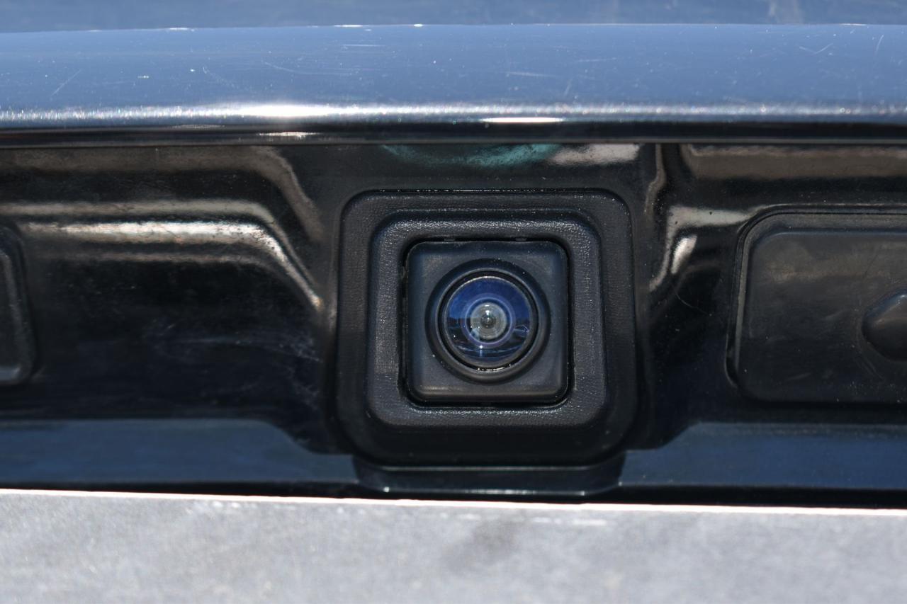 Renault Renault Scenic usata 16