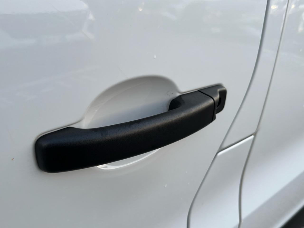 Renault Renault Trafic usata 19