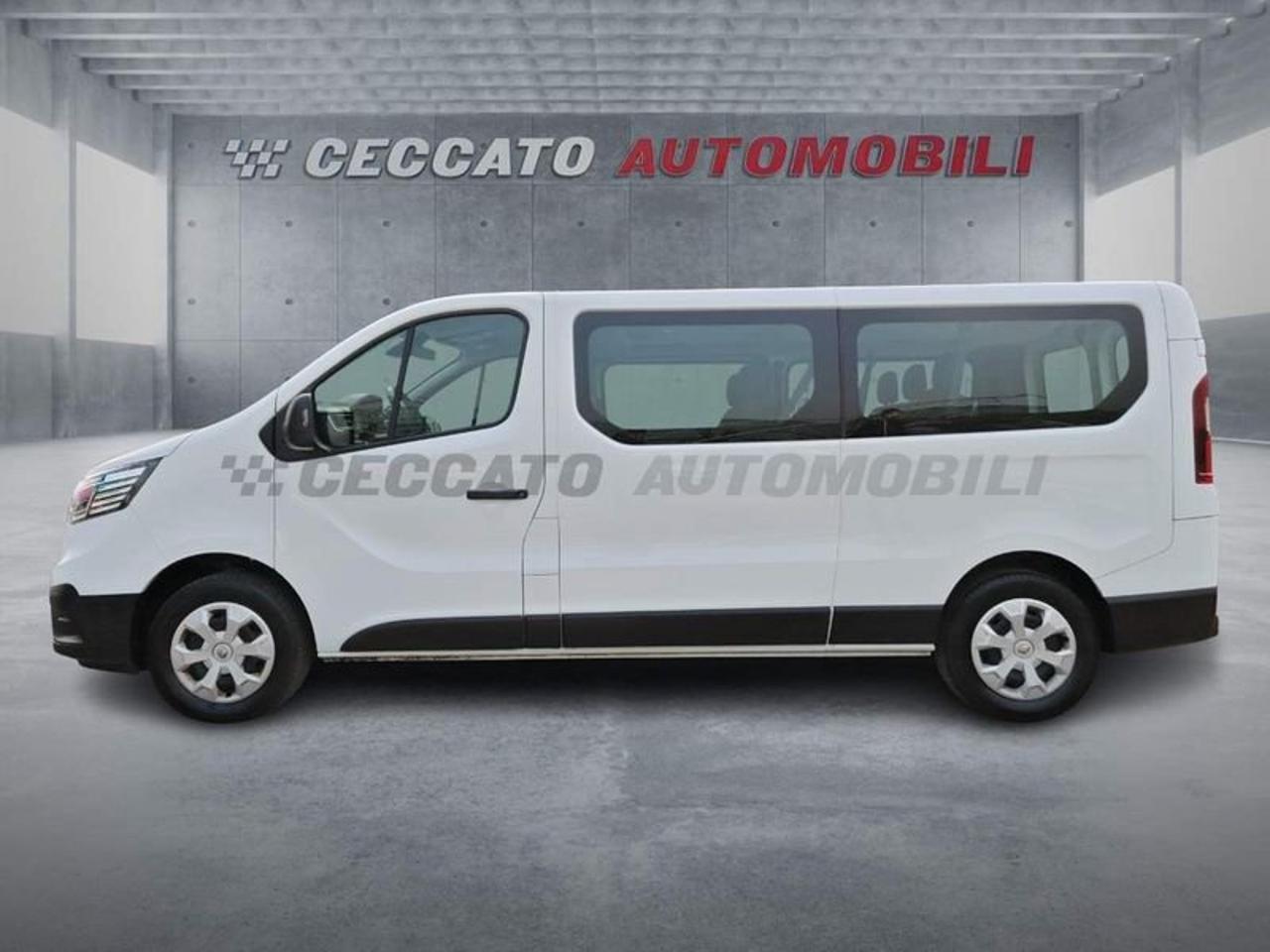 Renault Renault Trafic usata 11
