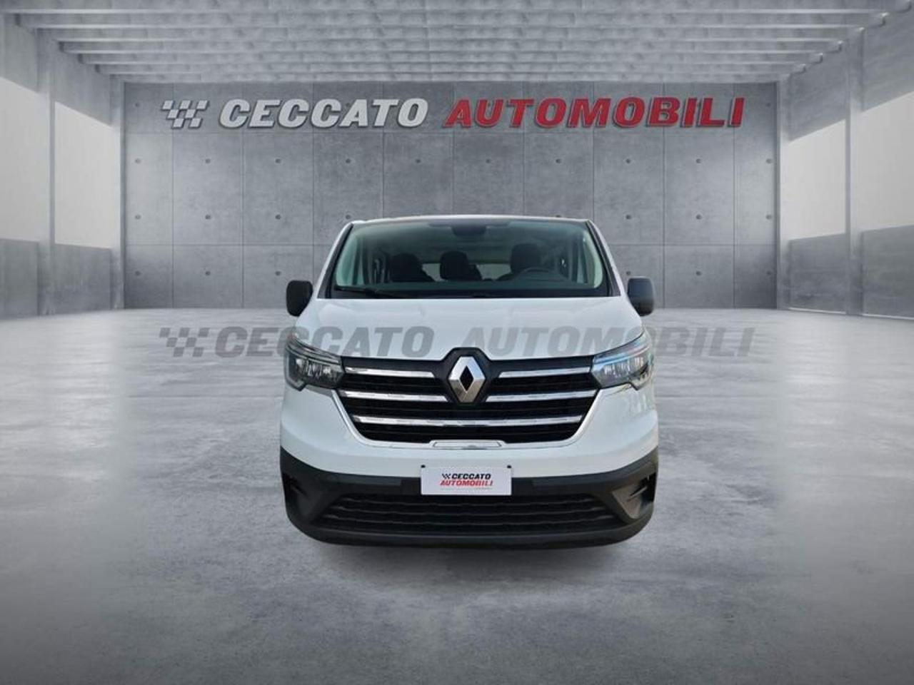 Renault Renault Trafic usata 19