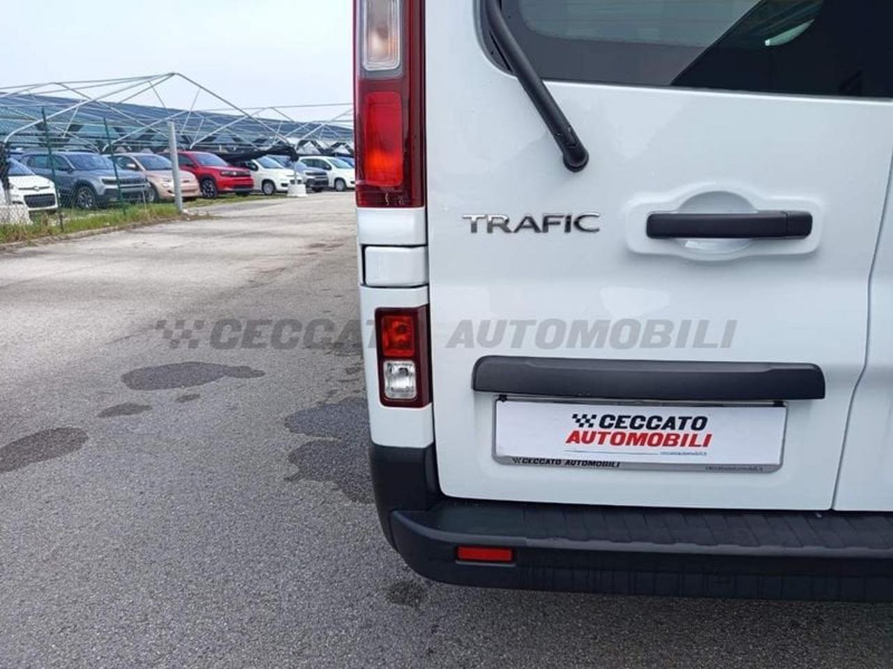 Renault Renault Trafic usata 12