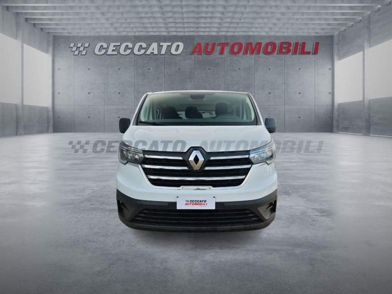 Renault Renault Trafic usata 19