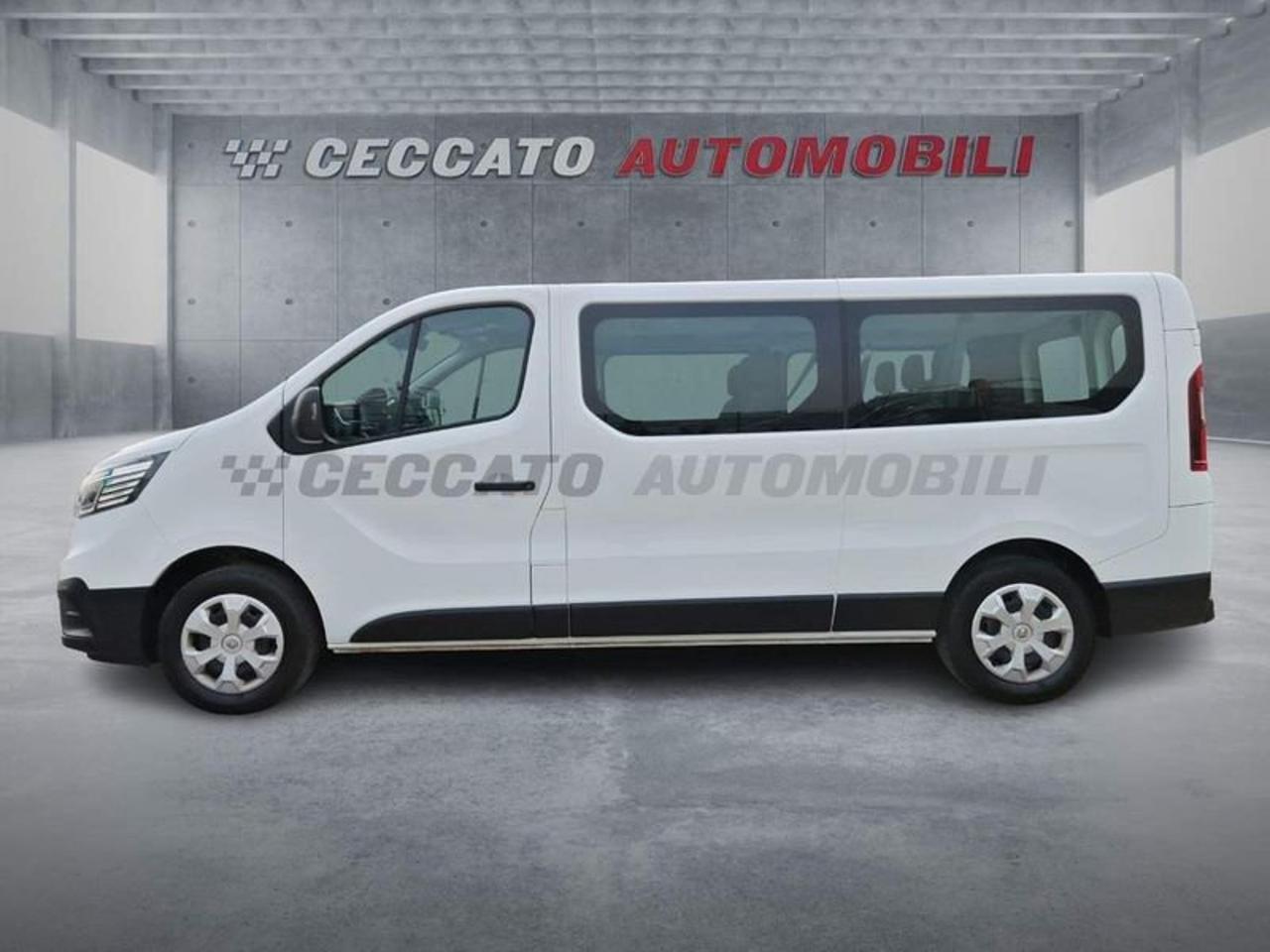 Renault Renault Trafic usata 11