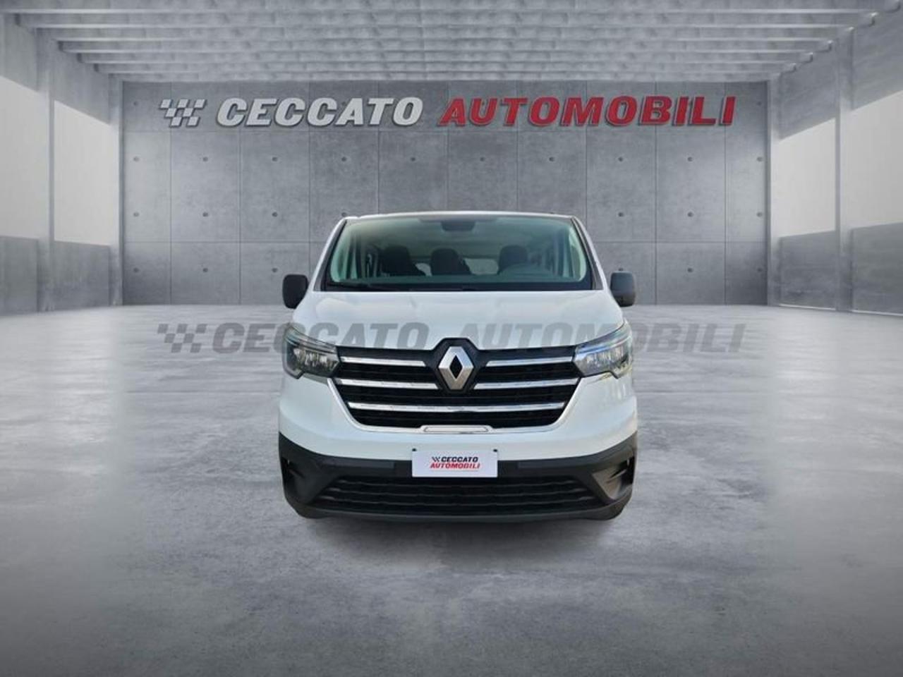 Renault Renault Trafic usata 19
