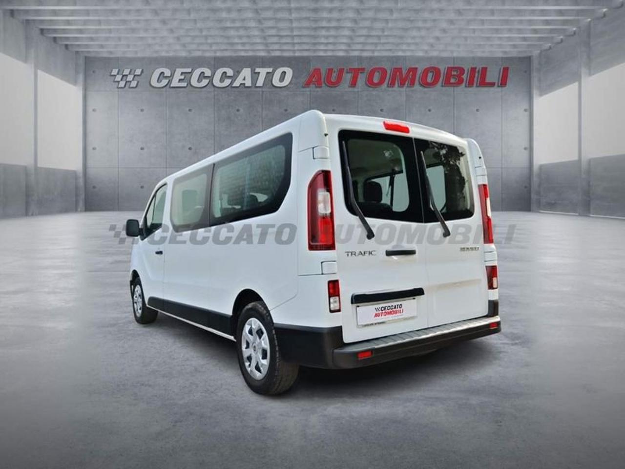 Renault Renault Trafic usata 18