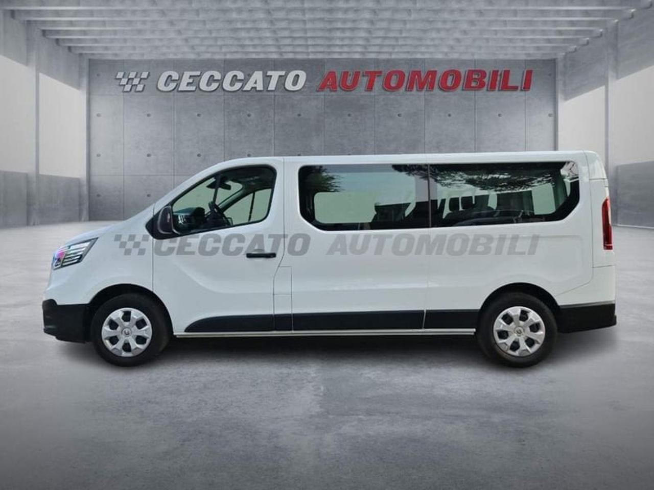 Renault Renault Trafic usata 11