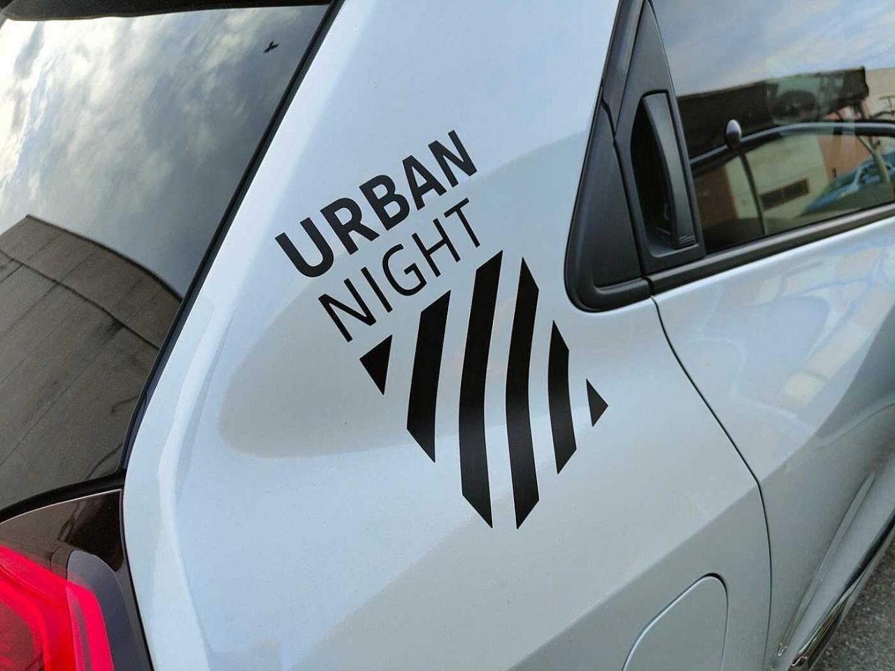 Renault Renault Twingo usata 12