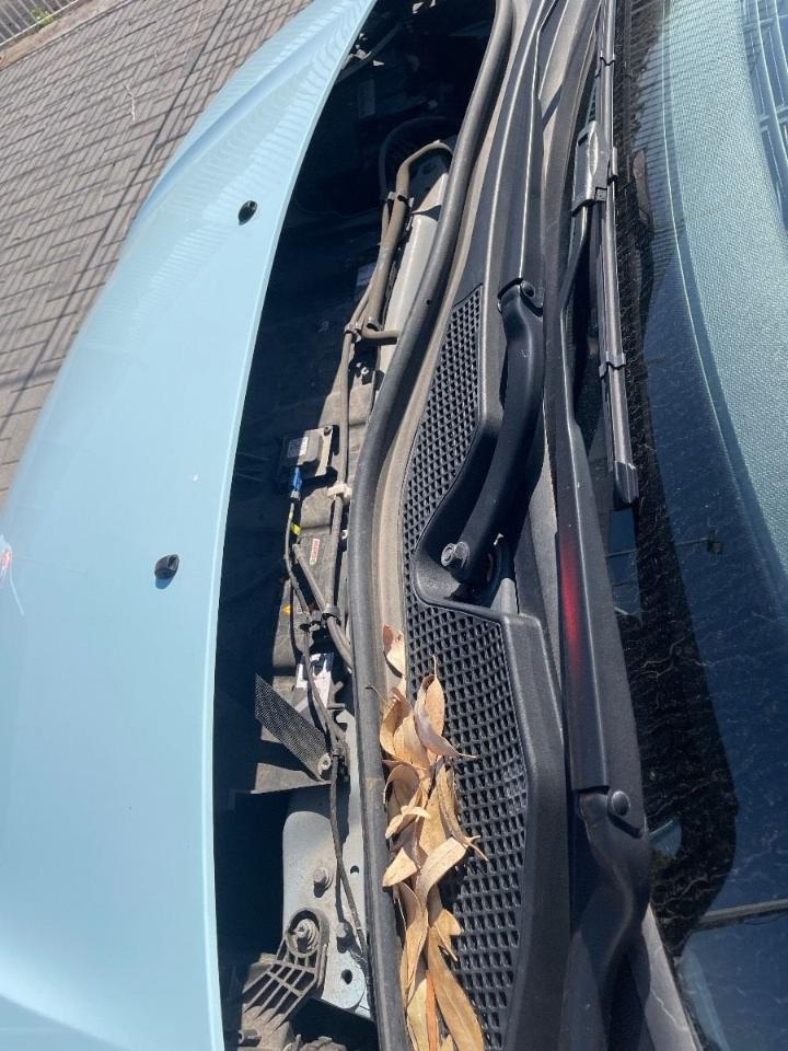 Renault Renault Twingo usata 5