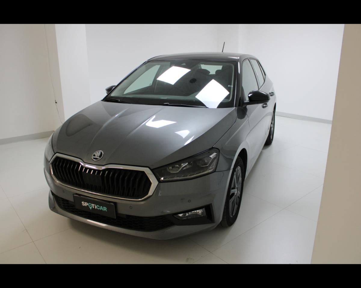 Skoda Skoda Fabia usata 5