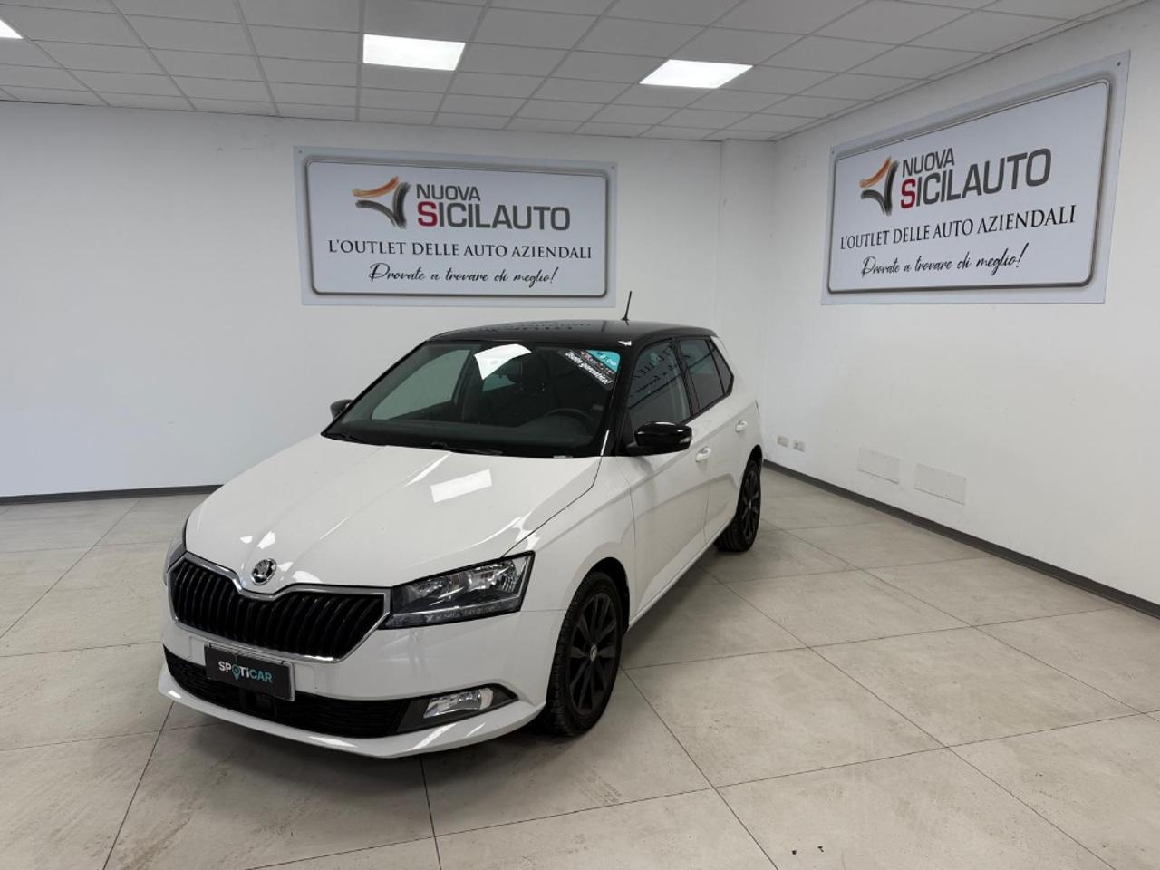 Skoda Skoda Fabia usata 13