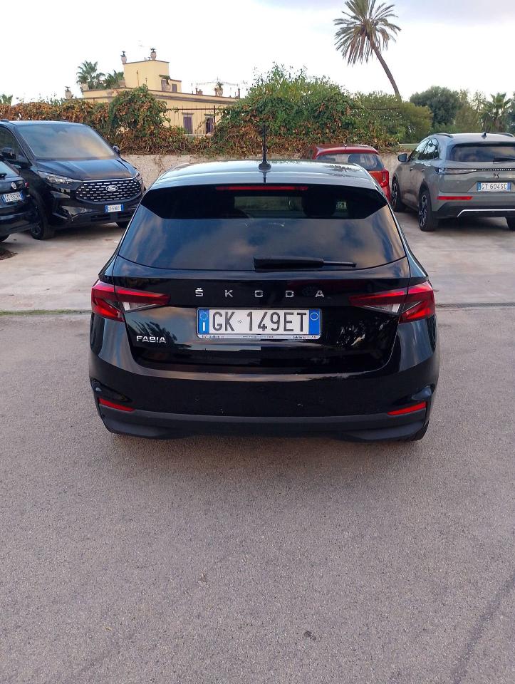 Skoda Skoda Fabia usata 1