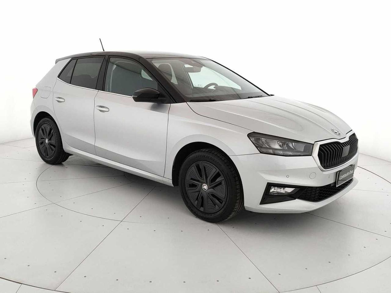 Skoda Skoda Fabia usata, con consolle centrale con portabottiglie e vano portaoggetti