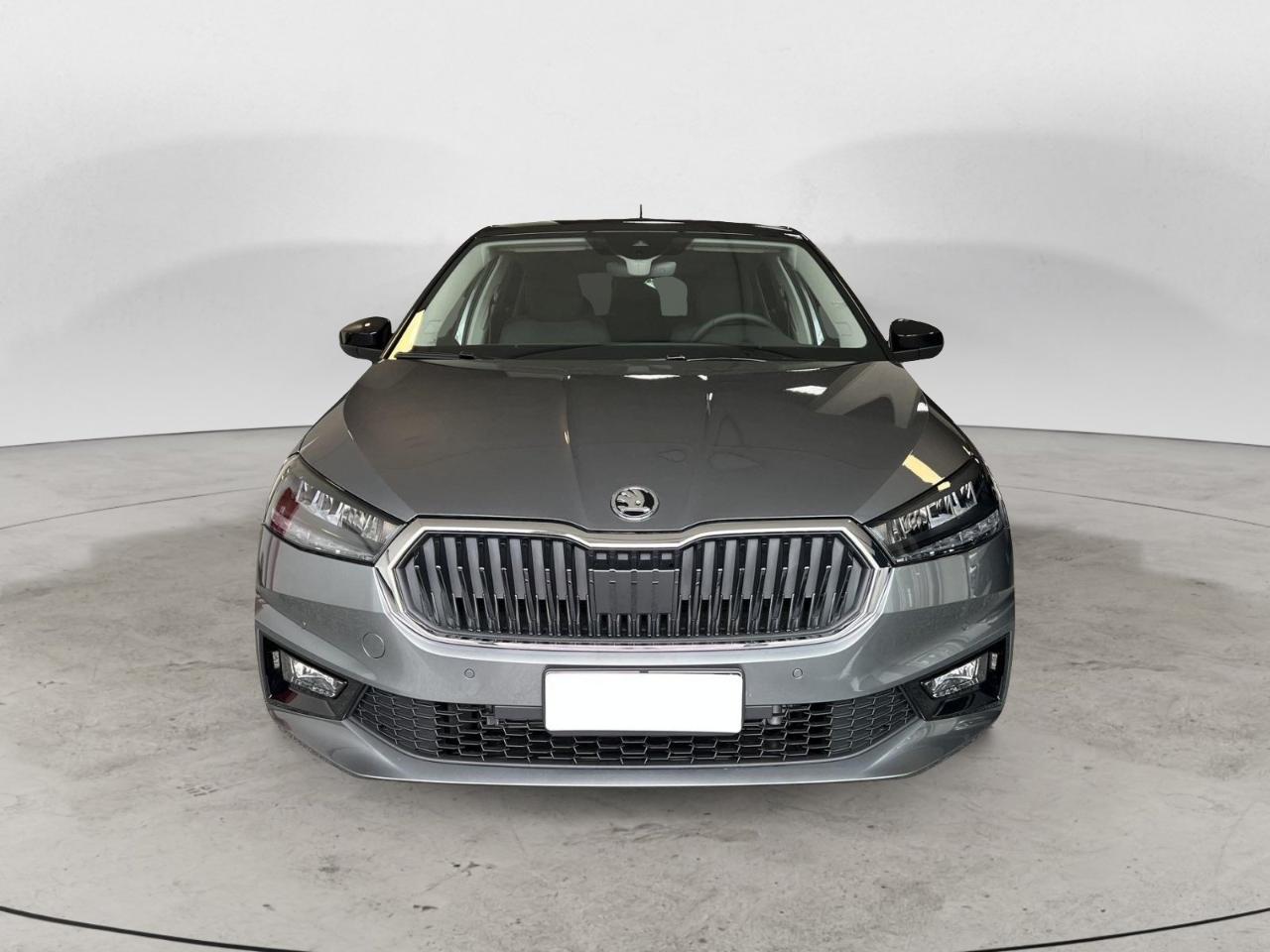 Skoda Skoda Fabia usata 11