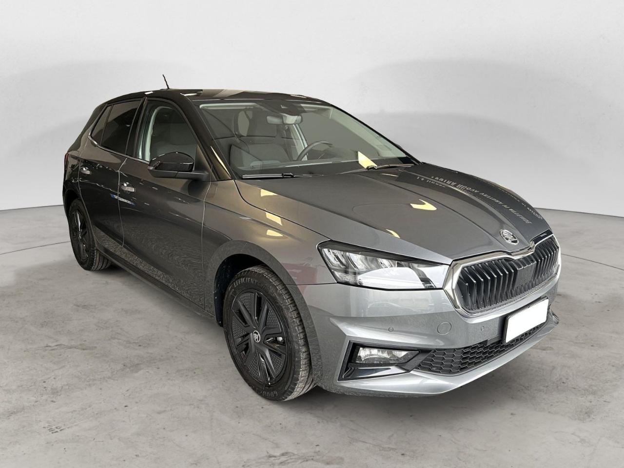 Skoda Skoda Fabia usata 13