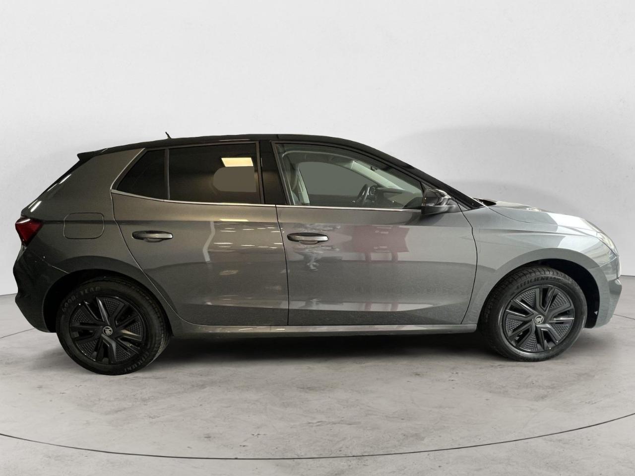 Skoda Skoda Fabia usata 14