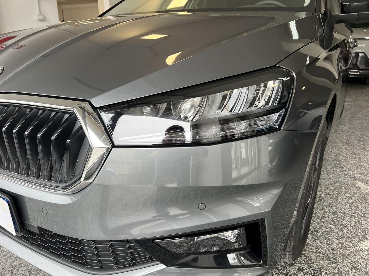 Skoda Skoda Fabia usata 18