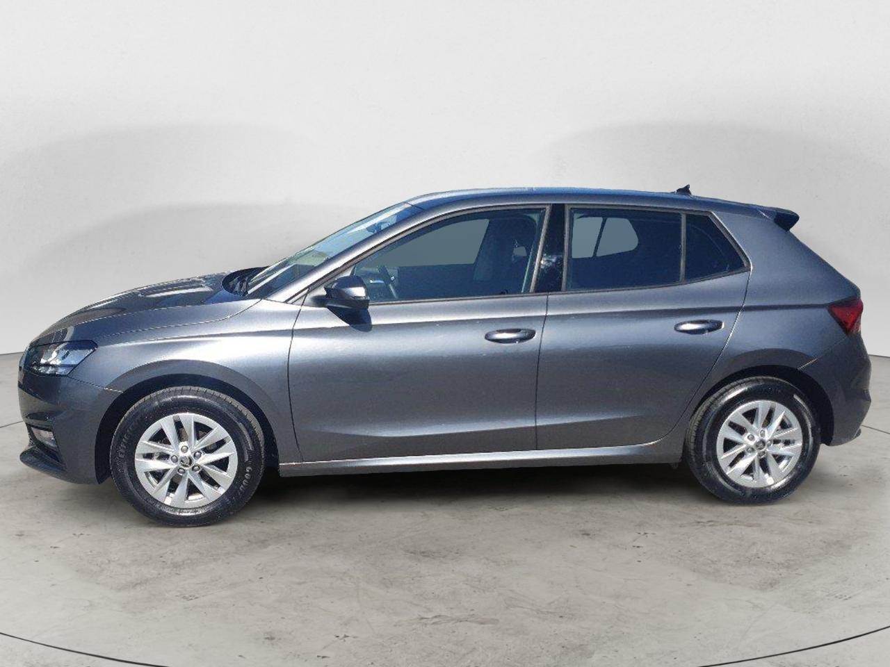Skoda Skoda Fabia usata 11