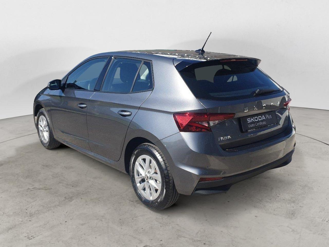 Skoda Skoda Fabia usata 17