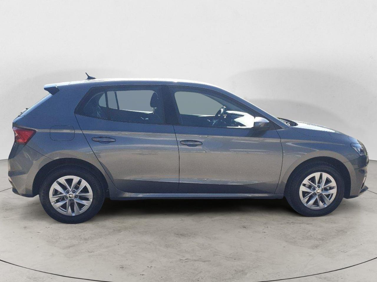 Skoda Skoda Fabia usata 20