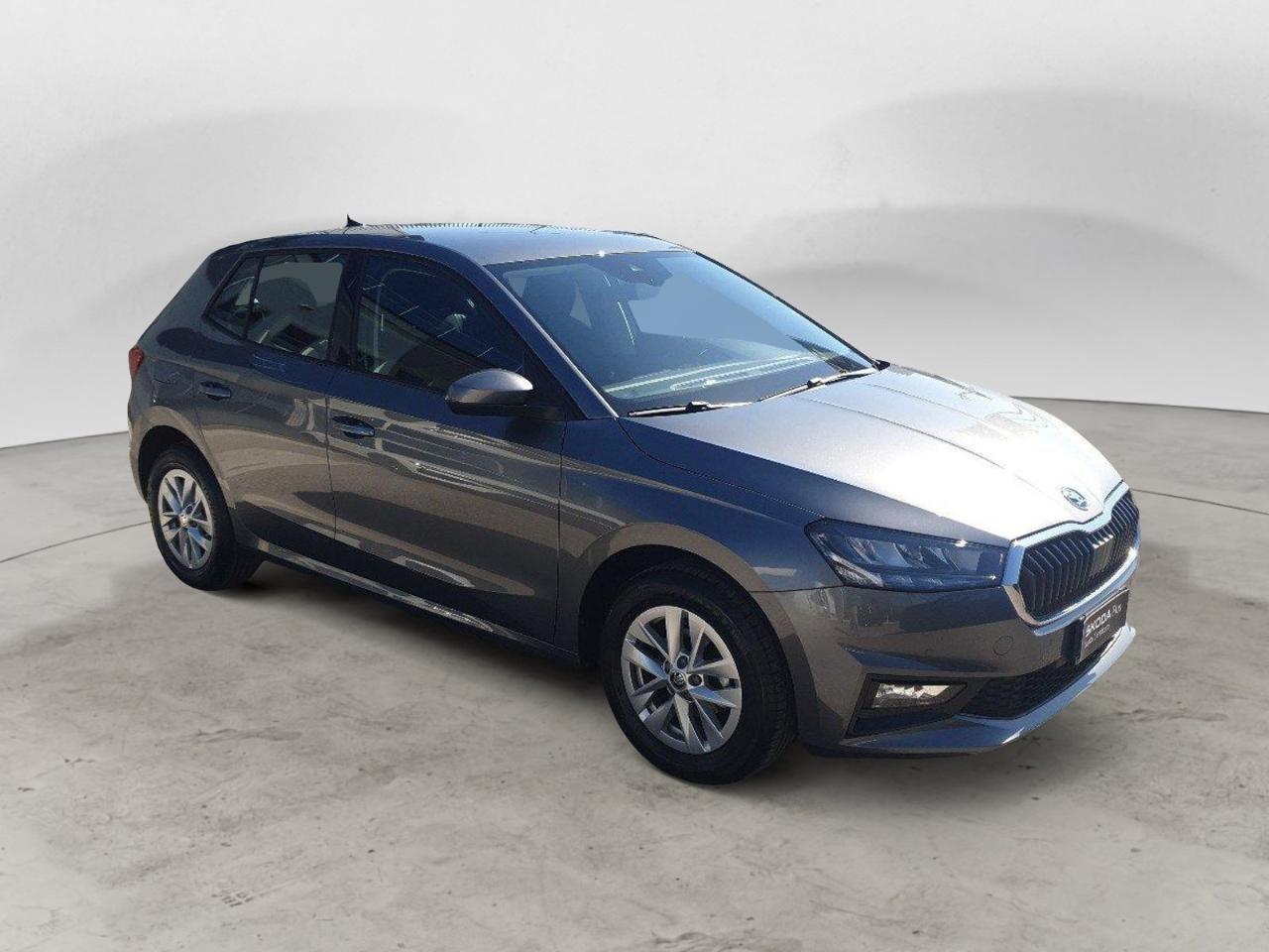 Skoda Skoda Fabia usata 21