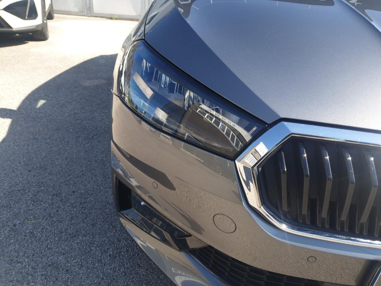 Skoda Skoda Fabia usata 23