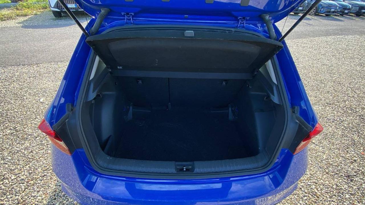 Skoda Skoda Fabia usata 2
