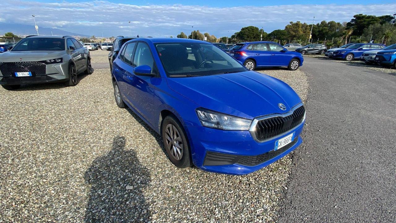 Skoda Skoda Fabia usata 11