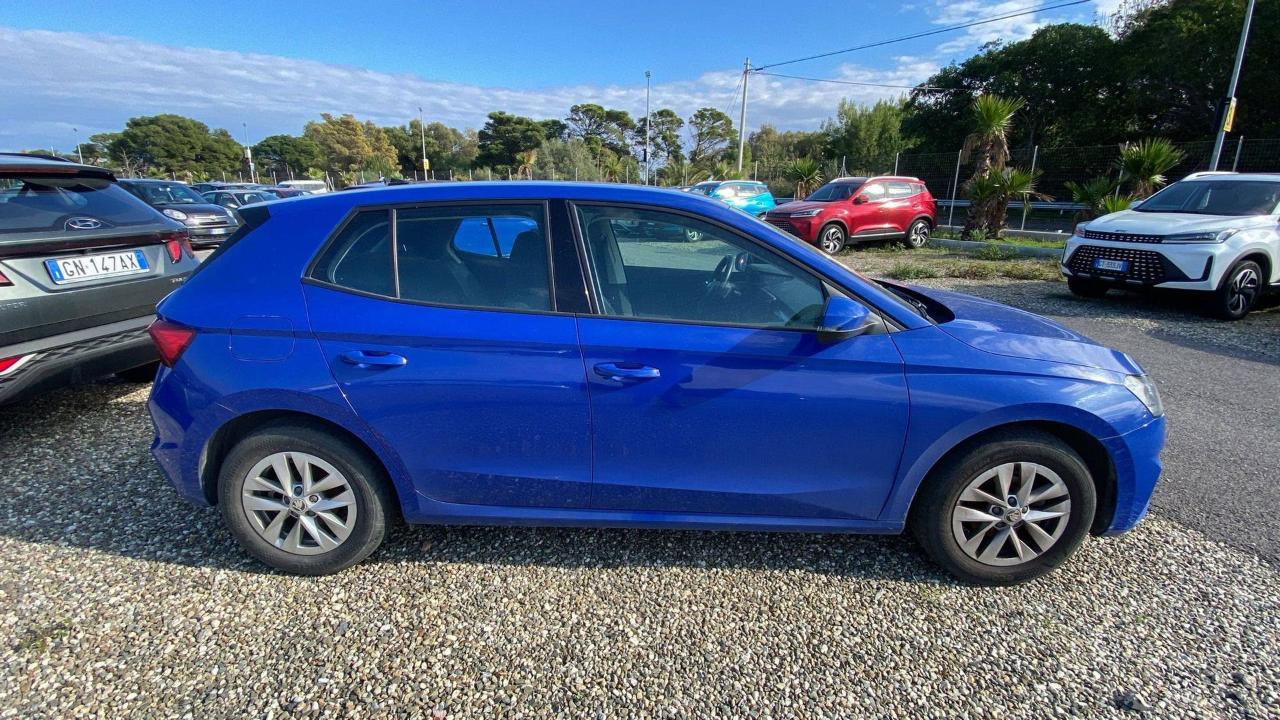 Skoda Skoda Fabia usata 21