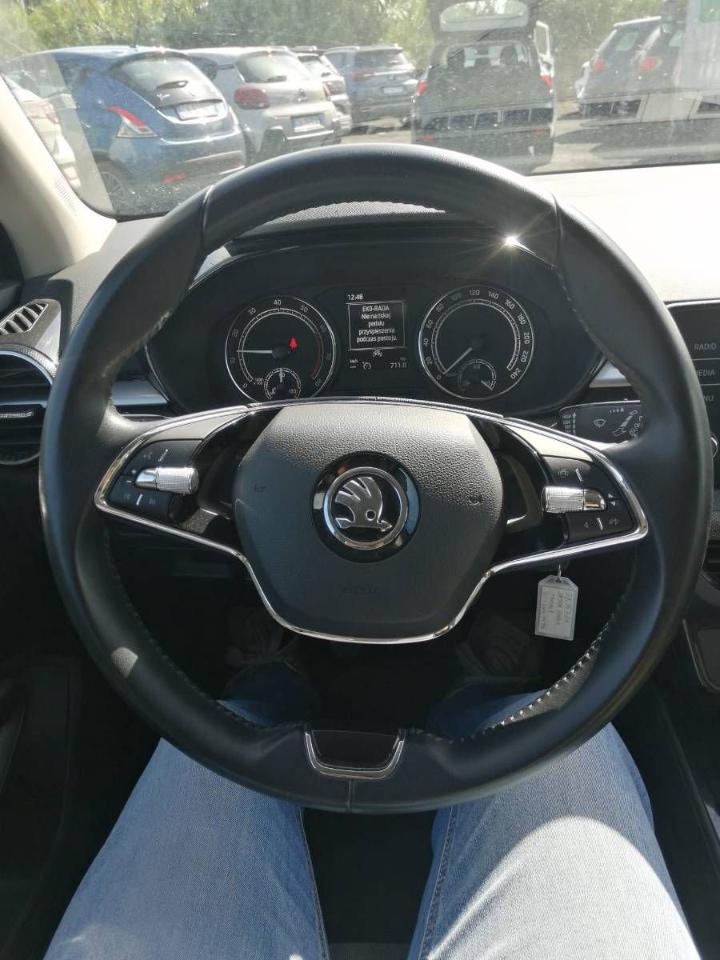 Skoda Skoda Fabia usata 7