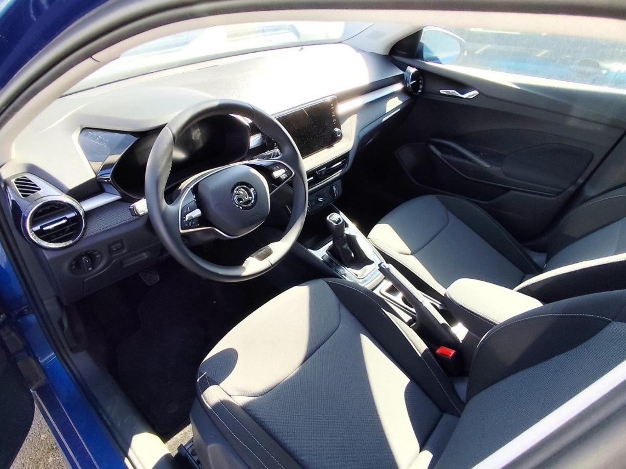 Skoda Skoda Fabia usata 16