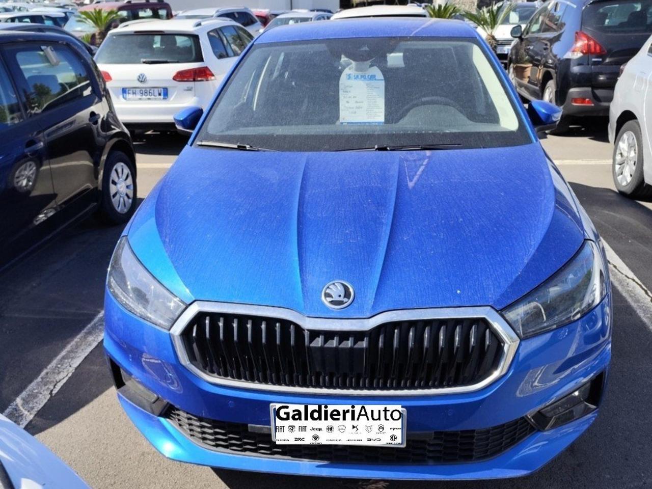 Skoda Skoda Fabia usata 17