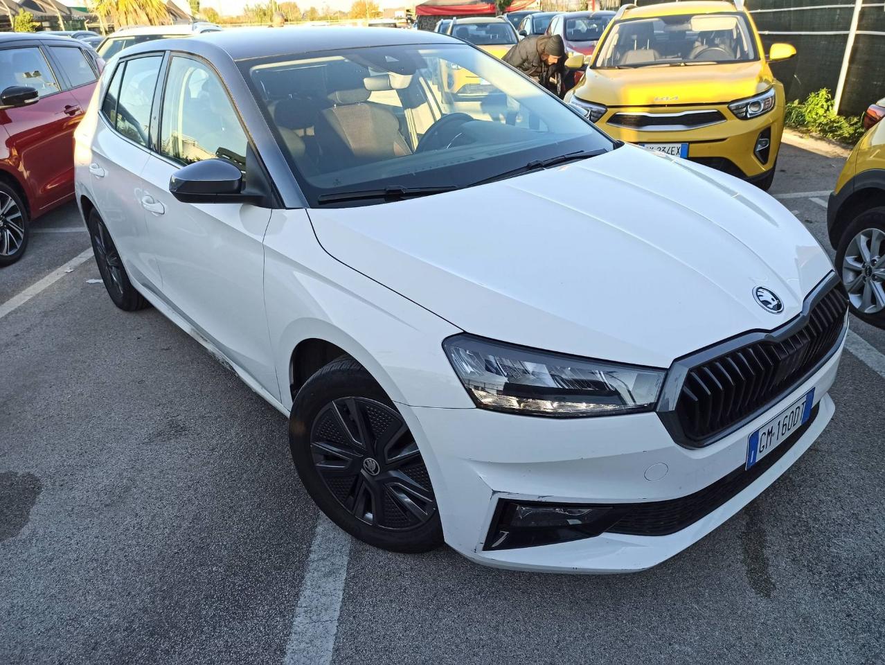 Skoda Skoda Fabia usata 7