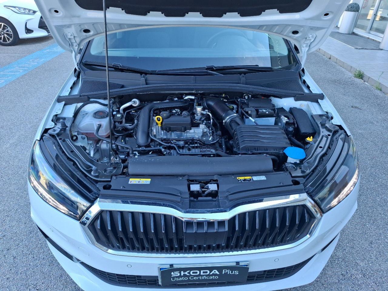 Skoda Skoda Fabia usata, con chiusura centralizzata