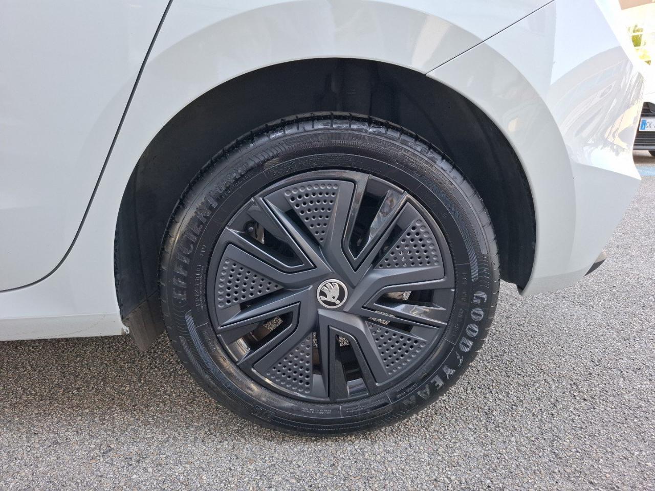 Skoda Skoda Fabia usata, con cruise control