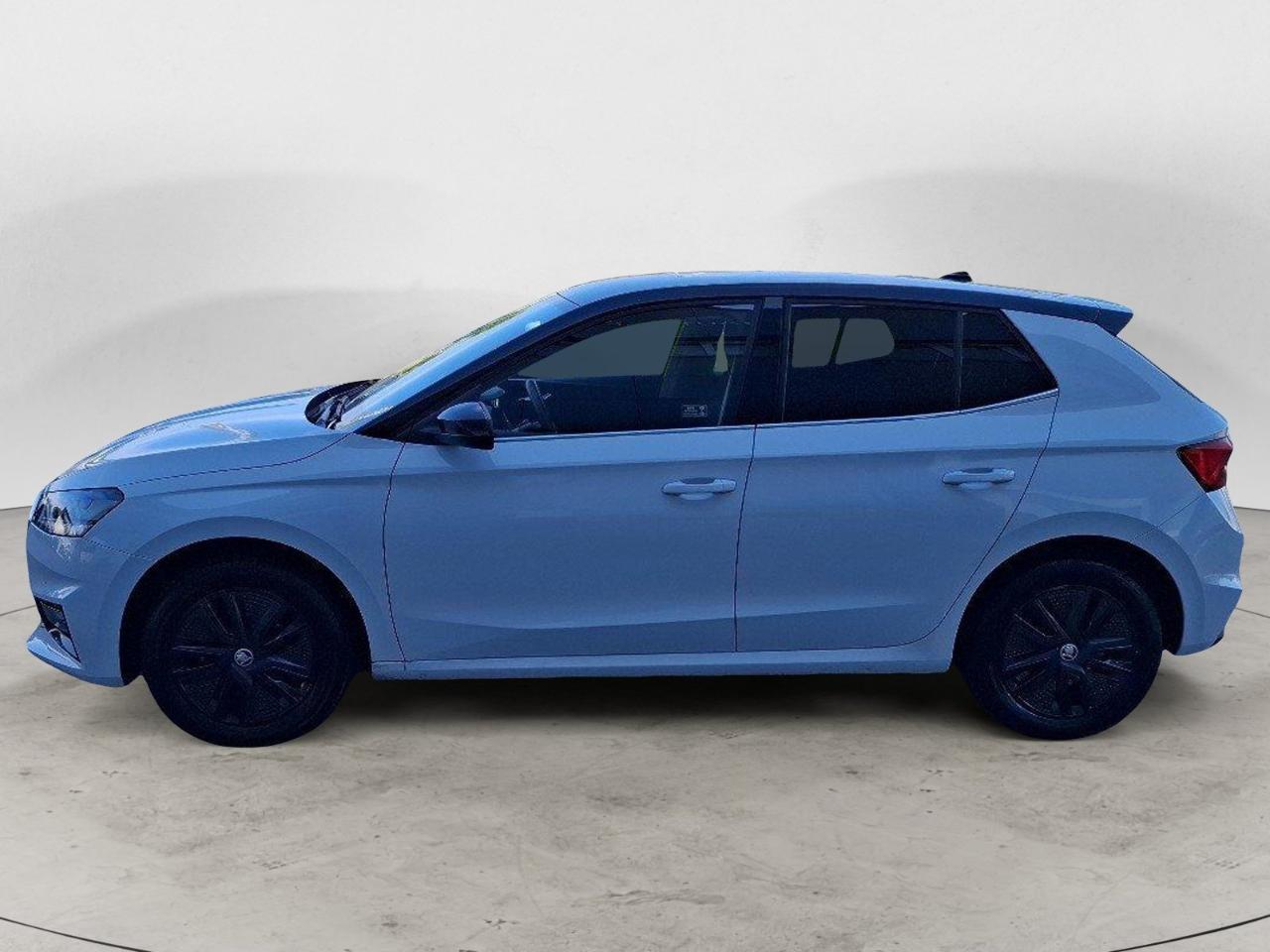 Skoda Skoda Fabia usata 11