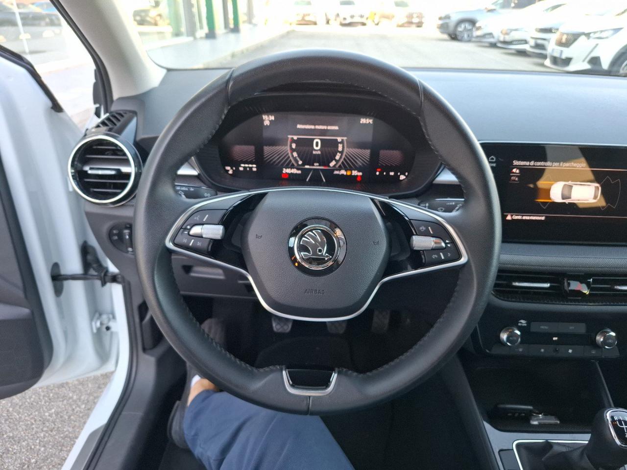 Skoda Skoda Fabia usata 12