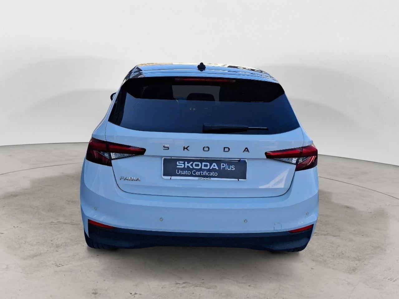 Skoda Skoda Fabia usata 21