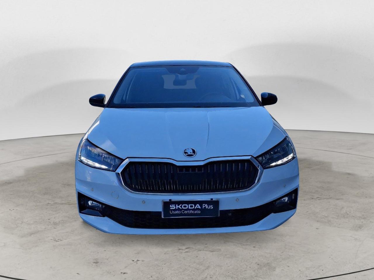Skoda Skoda Fabia usata 22