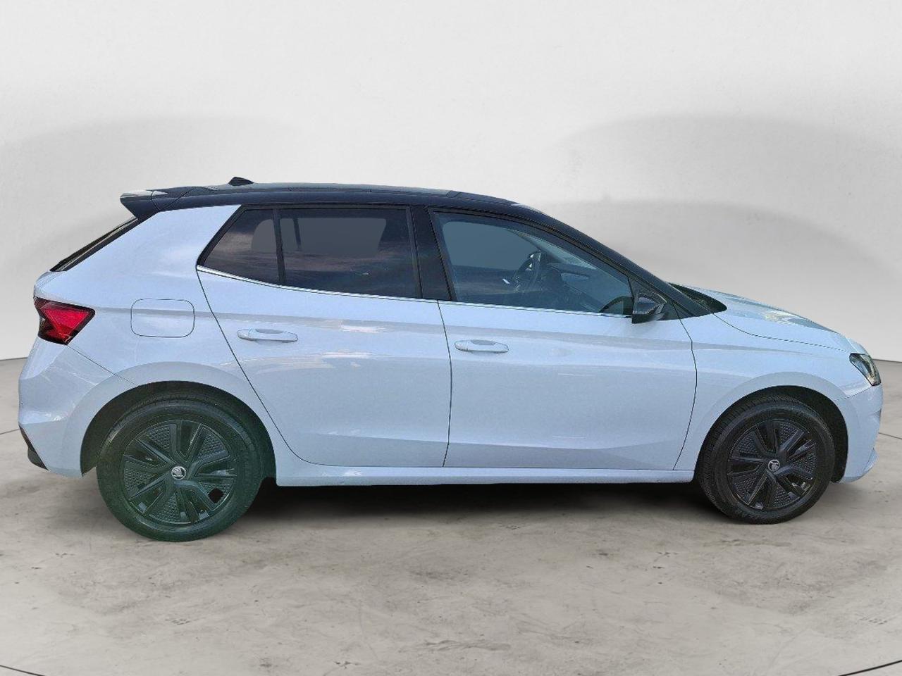 Skoda Skoda Fabia usata 24