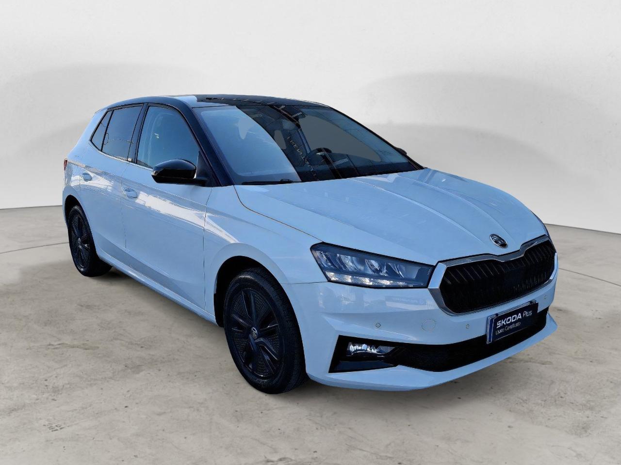 Skoda Skoda Fabia usata 25