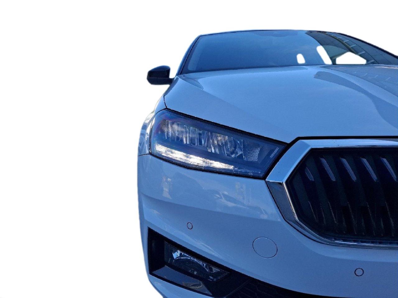 Skoda Skoda Fabia usata 26
