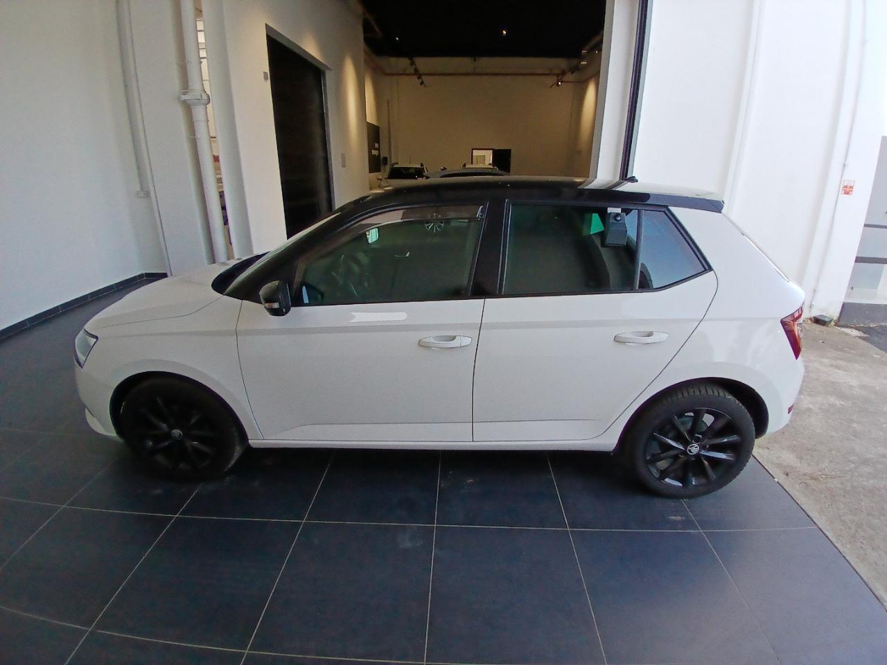 Skoda Skoda Fabia usata 17