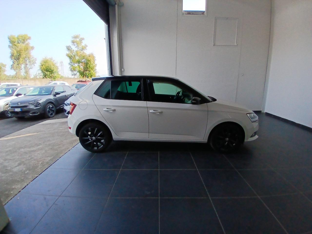 Skoda Skoda Fabia usata 18